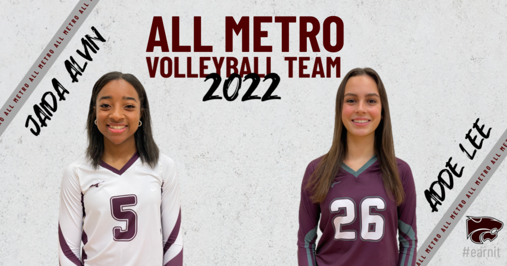 Volleyball All Metro