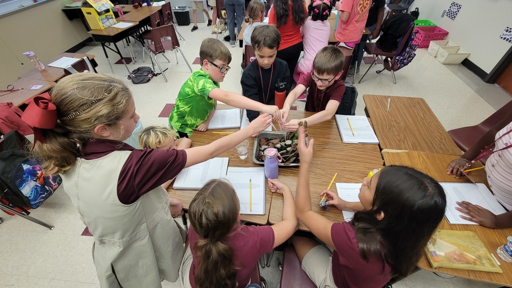 Fourth grade students participated in an erosion lab activity!